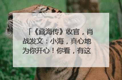《藏海传》收官，肖战发文：小海，真心地为你开心！你看，有这么多人懂你！