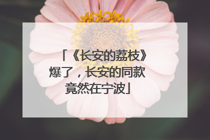 《长安的荔枝》爆了，长安的同款竟然在宁波