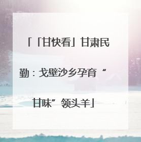「甘快看」甘肃民勤：戈壁沙乡孕育“甘味”领头羊