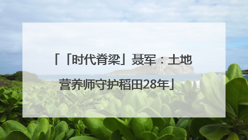 「时代脊梁」聂军：土地营养师守护稻田28年