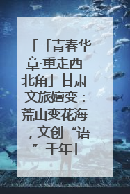 「青春华章·重走西北角」甘肃文旅嬗变：荒山变花海，文创“语”千年