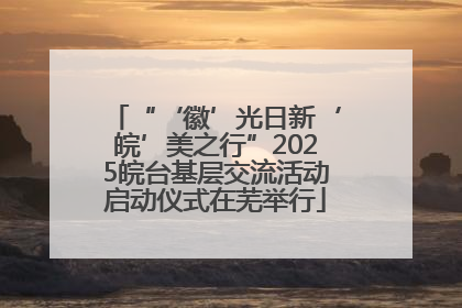 “‘徽’光日新‘皖’美之行”2025皖台基层交流活动启动仪式在芜举行