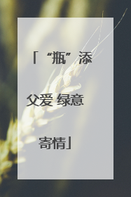 “瓶”添父爱 绿意寄情