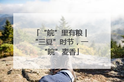 “皖”里有粮｜“三夏”时节，一“皖”麦香