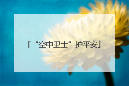 “空中卫士”护平安