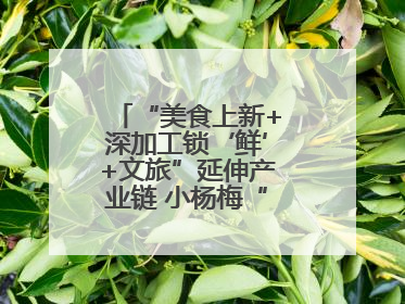 “美食上新+深加工锁‘鲜’+文旅”延伸产业链 小杨梅“撬动”大产业