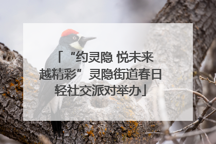 “约灵隐 悦未来 越精彩”灵隐街道春日轻社交派对举办