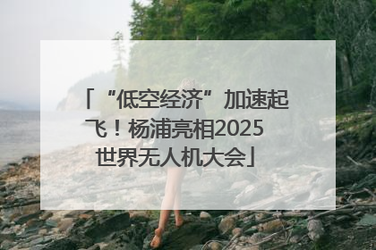 “低空经济”加速起飞！杨浦亮相2025世界无人机大会