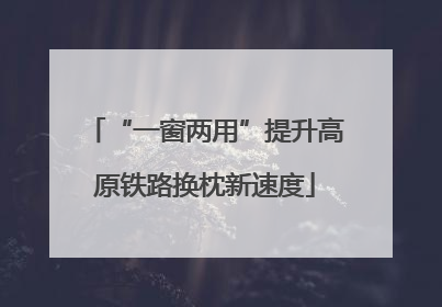 “一窗两用”提升高原铁路换枕新速度