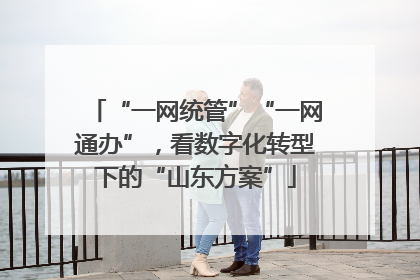 “一网统管”“一网通办”，看数字化转型下的“山东方案”