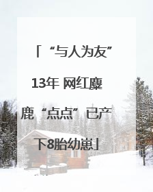 “与人为友”13年 网红麋鹿“点点”已产下8胎幼崽
