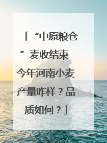 “中原粮仓”麦收结束 今年河南小麦产量咋样？品质如何？