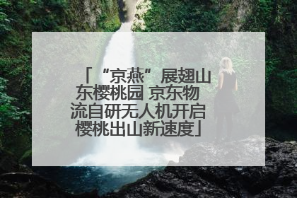 “京燕”展翅山东樱桃园 京东物流自研无人机开启樱桃出山新速度