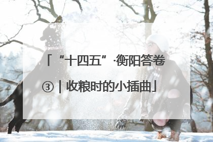 “十四五”·衡阳答卷③｜收粮时的小插曲