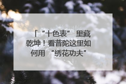 “十色表” 里藏乾坤！看普陀这里如何用 “绣花功夫” 织就社区治理