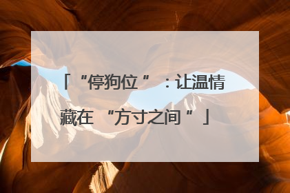 “停狗位 ”：让温情藏在 “方寸之间 ”