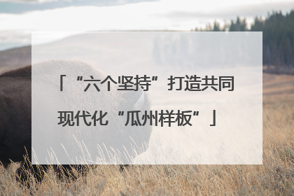 “六个坚持”打造共同现代化“瓜州样板”