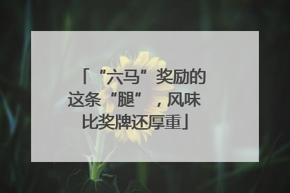 “六马”奖励的这条“腿”，风味比奖牌还厚重