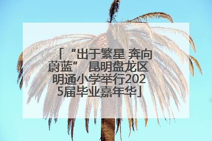 “出于繁星 奔向蔚蓝” 昆明盘龙区明通小学举行2025届毕业嘉年华