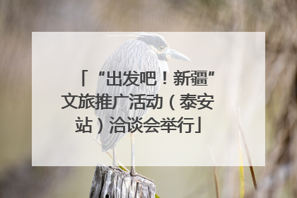 “出发吧！新疆”文旅推广活动（泰安站）洽谈会举行