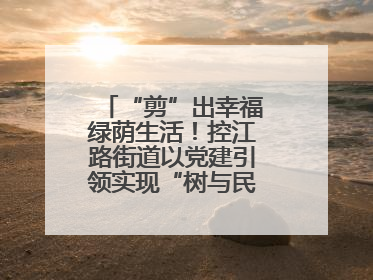 “剪”出幸福绿荫生活！控江路街道以党建引领实现“树与民”双向奔赴
