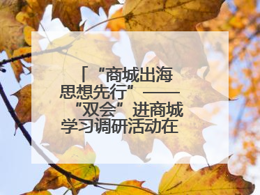 “商城出海 思想先行”——“双会”进商城学习调研活动在临沂顺利开展