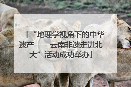 “地理学视角下的中华遗产——云南非遗走进北大”活动成功举办
