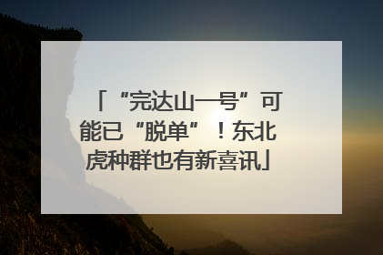 “完达山一号”可能已“脱单”！东北虎种群也有新喜讯