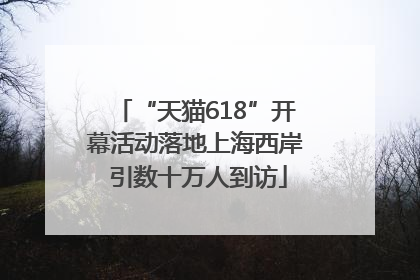 “天猫618”开幕活动落地上海西岸 引数十万人到访