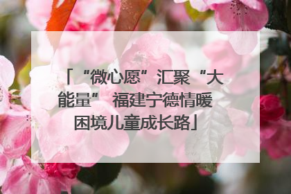 “微心愿”汇聚“大能量” 福建宁德情暖困境儿童成长路
