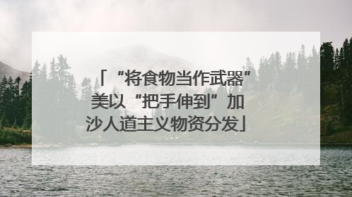 “将食物当作武器” 美以“把手伸到”加沙人道主义物资分发