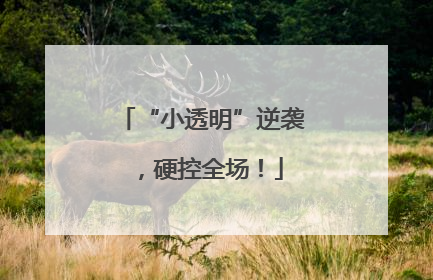 “小透明”逆袭，硬控全场！