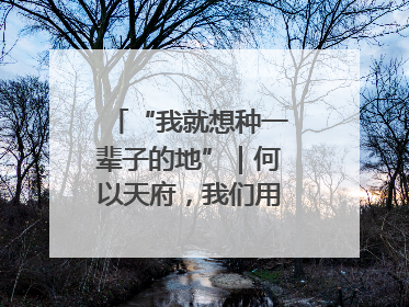 “我就想种一辈子的地”｜何以天府，我们用粮食作答②