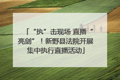 “执”击现场 直播“亮剑”！新野县法院开展集中执行直播活动