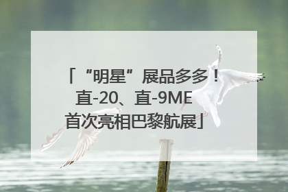 “明星”展品多多！直-20、直-9ME首次亮相巴黎航展