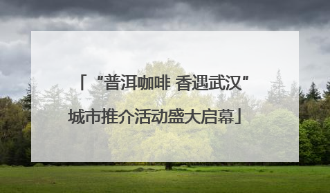“普洱咖啡 香遇武汉”城市推介活动盛大启幕