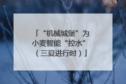 “机械城堡”为小麦智能“控水”（三夏进行时）