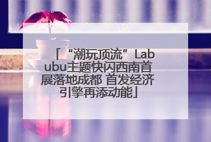 “潮玩顶流”Labubu主题快闪西南首展落地成都 首发经济引擎再添动能
