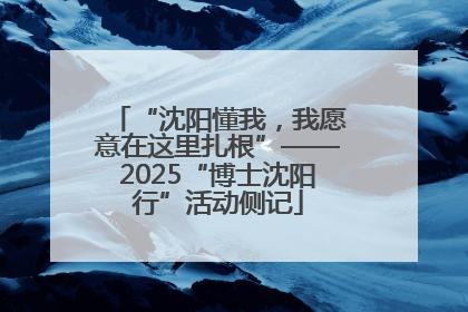 “沈阳懂我，我愿意在这里扎根”——2025“博士沈阳行”活动侧记