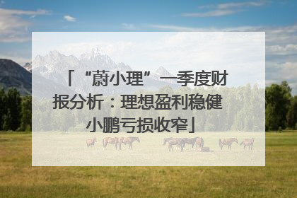 “蔚小理”一季度财报分析：理想盈利稳健 小鹏亏损收窄