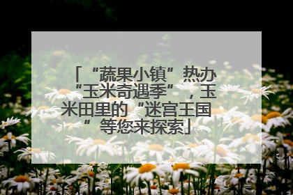 “蔬果小镇”热办“玉米奇遇季”，玉米田里的“迷宫王国”等您来探索