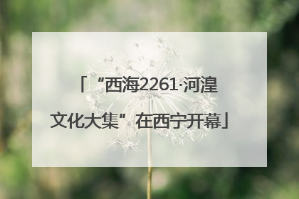 “西海2261·河湟文化大集”在西宁开幕
