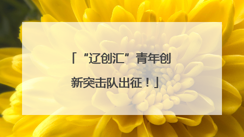 “辽创汇”青年创新突击队出征！
