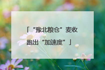 “豫北粮仓”麦收跑出“加速度”