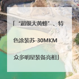 “超级大黄蜂”、特色涂装苏-30MKM 众多明星装备亮相