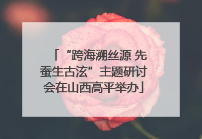 “跨海溯丝源 先蚕生古泫”主题研讨会在山西高平举办