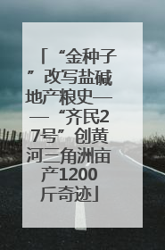 “金种子”改写盐碱地产粮史——“齐民27号”创黄河三角洲亩产1200斤奇迹