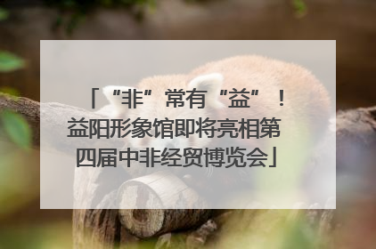 “非”常有“益”！益阳形象馆即将亮相第四届中非经贸博览会
