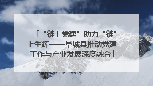 “链上党建”助力“链”上生辉——阜城县推动党建工作与产业发展深度融合