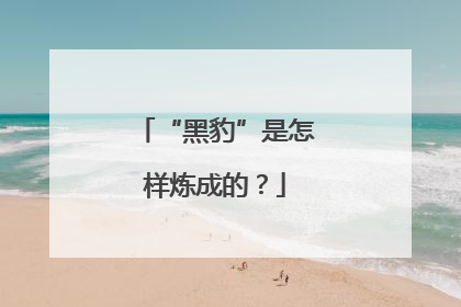 “黑豹”是怎样炼成的？